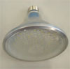 Poultry Lighting: LED Bulbs Provide Energy Savings and Durability_1
