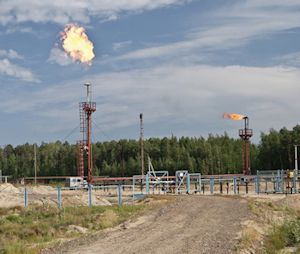 High Temperature Bearings for Oil Field Flares