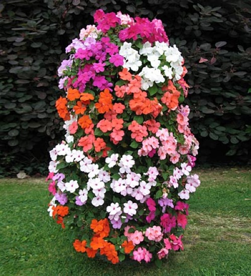 The Flower Tower: Grow a Tower of Flowers_1
