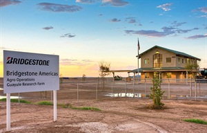 Bridgestone Completes Guayule Research Farm