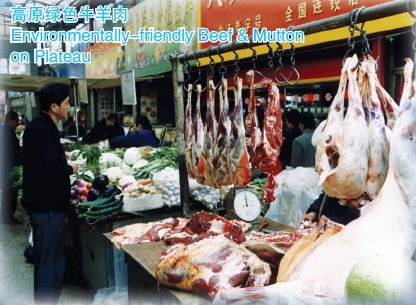 Doing Business in Qinghai Province of China: II. Economy_10