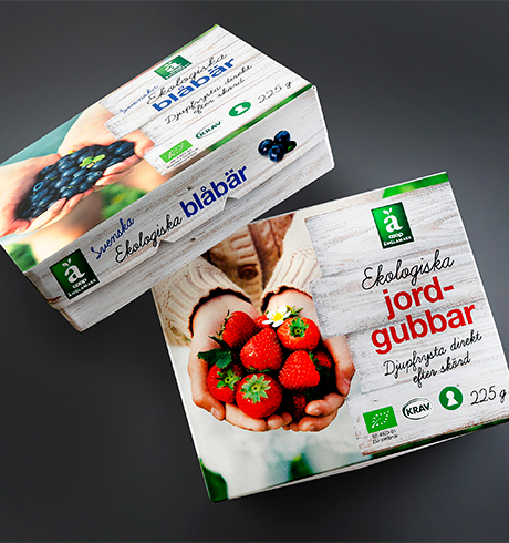 Coop Selects Paperboard Material for Berry Packaging