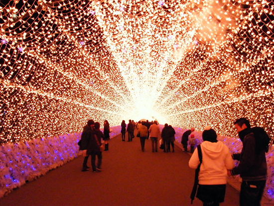 A Very LED Christmas in Japan