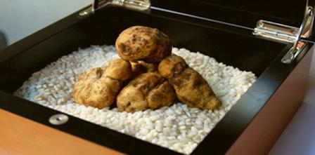 $26, 000 White Truffle Dinner Unveiled at Philadelphia Restaurant