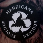 Can Luxury Be Synonymous with Eco-Consciousness? Speaking with Mariouche Gagne &#8211; Founder Harricana_9