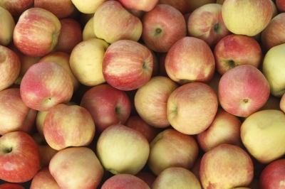 Gaza to Impose Ban on Israeli Fruit Imports