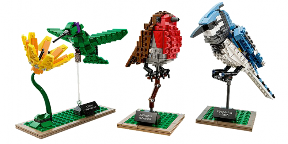 LEGO Birds to Land in January 2015