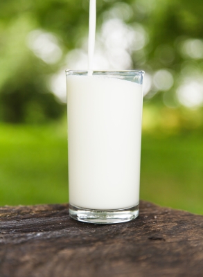 Glanbia Ingredients to Open New Milk Protein Facility in Ireland