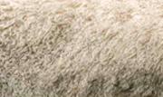 Prices of Fine Crossbred Fleece up in New Zealand