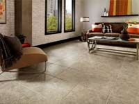 Nature-Inspired Alterna Tile_2