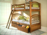 Different Types of Bunk Beds