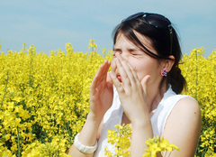 Pollen Panic? Best Allergy Treatment Is a Drugstore Brand