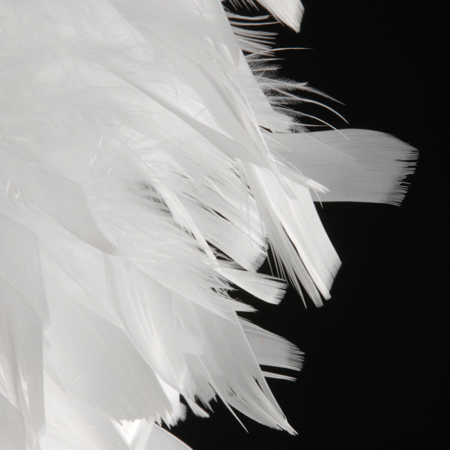 Nosigner's Pokkari Lamp: Merging Clouds and Feathers_1