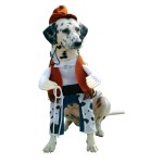 Fashion Dogs - Dressing All The Year Round!_1