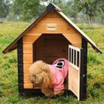 Happy House for Your Dogs_13
