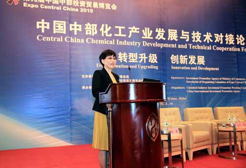 Central China Chemical Industry Development and Technical Cooperation Forum Successfully Held in Wuhan