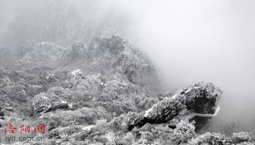 Luoyang Sees Beautiful Rime Ices in Mountainous Areas_1