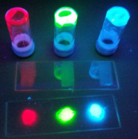 German Researchers Create Fluorescent Protein Based LEDs
