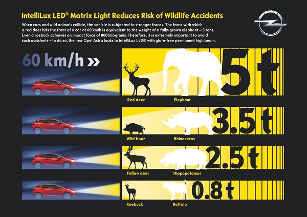 Opel's LED Matrix Light Reduces Risk of Wildlife Accidents_1