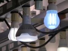 LED Bulbs Pricey, But Worth Considering