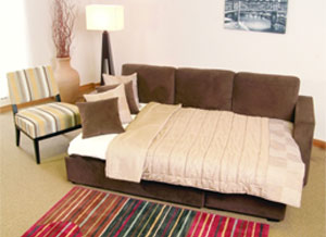 Types of Sofa Cum Bed