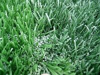 Artificial Grass - Your Green & Comfortable Life_1