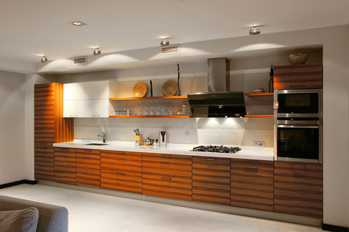 Minimalist Kitchens and 21st Century Function & Style_1