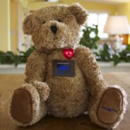 Wi-Fi Communicating Bear Launches on Kickstarter