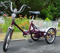Enjoy a Green Life with a Tricycle_1