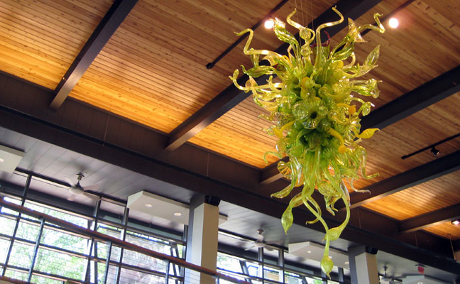 Atlanta Botanical Garden & Dale Chihuly's Nepenthes Chandelier