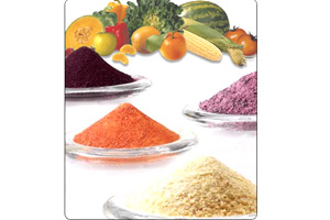 What is Spray Dried Fruit Powder and Extract Powder?