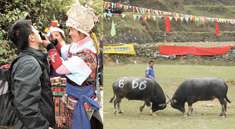 Sipping to Music, Dance and Bull Fights in Miao Village Folk Culture_2