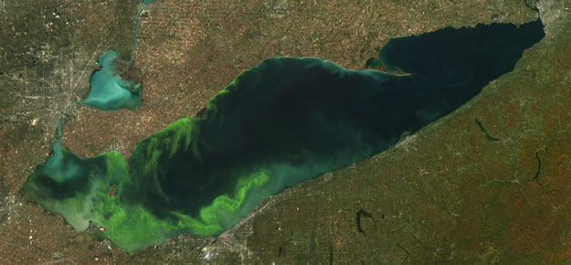 In Summer, Toxic Blue-Green Algae Blooms Plague Freshwater