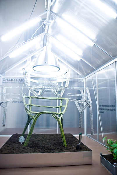 Grow Your Own Chair at The Chair Farm_5