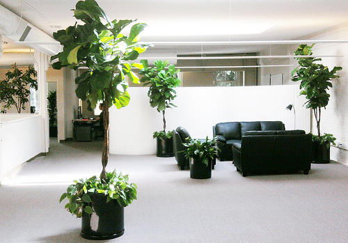 Feng Shui 101 for Offices_1