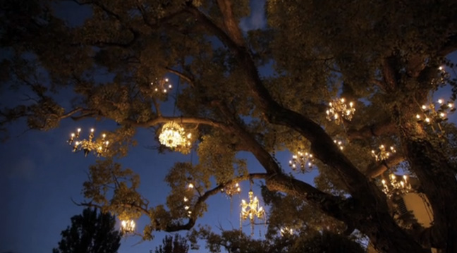 The Chandelier Tree in Silver Lake, California