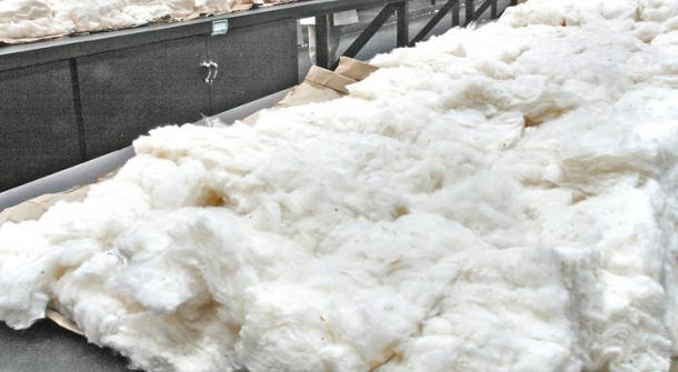 Minimum Purchase Price Push The Sales of The Cotton in Zimbabwe