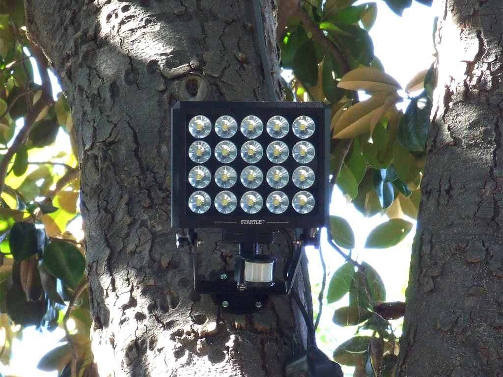 Global Security Experts Announces New LED Outdoor Security Light