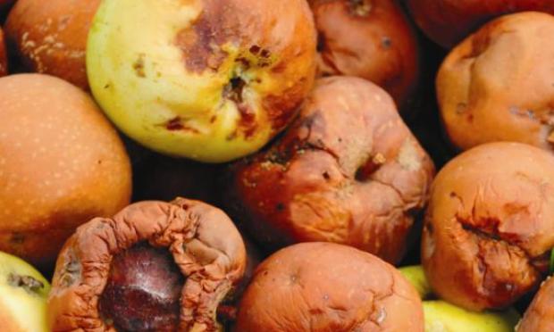 Pack and Food Waste in Grocery Sector "Worth &pound;6.9bn"