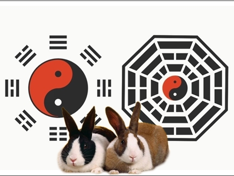 Rabbit Feng Shui Predictions in Year of The Rabbit 2011