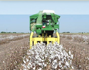 Uzbekistan to Machine-Harvest 90% of Cotton by 2016: P,
