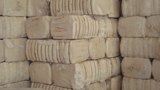 Vietnam's Cotton Imports Rise 35% in Jan-Sept’13