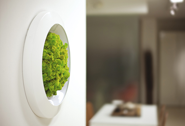 The Textured Moss Sofia Wall Lamp From Verde Profilo_1