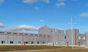 Nestle Inaugurates CHF73m Maggi Production Facility in Russia