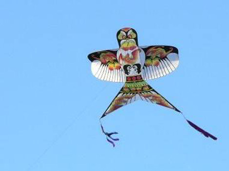 Nice Weather, Go Fly Kites in Beijing!_1