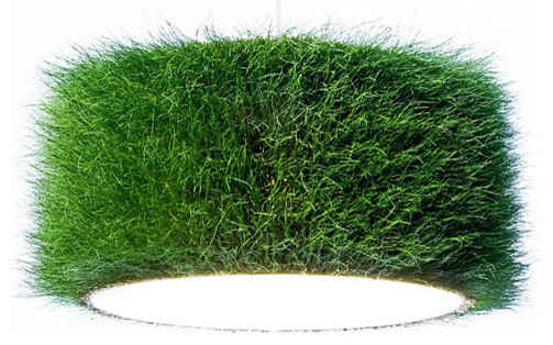How Does Grassland Grow Grass on Lampshades?