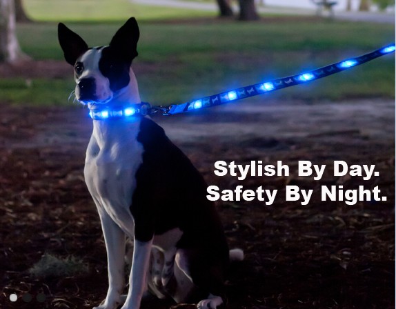 Dog-E-Glow Has Launched a Series of LED Dog Leashes