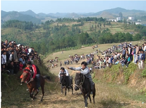 Duan Festival of Shui Ethnic Group_1