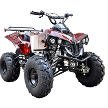ATV -- Designed to Handle a Wider Variety of Terrain_3