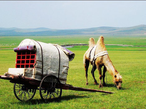 The Mongolian-style Lele Cart